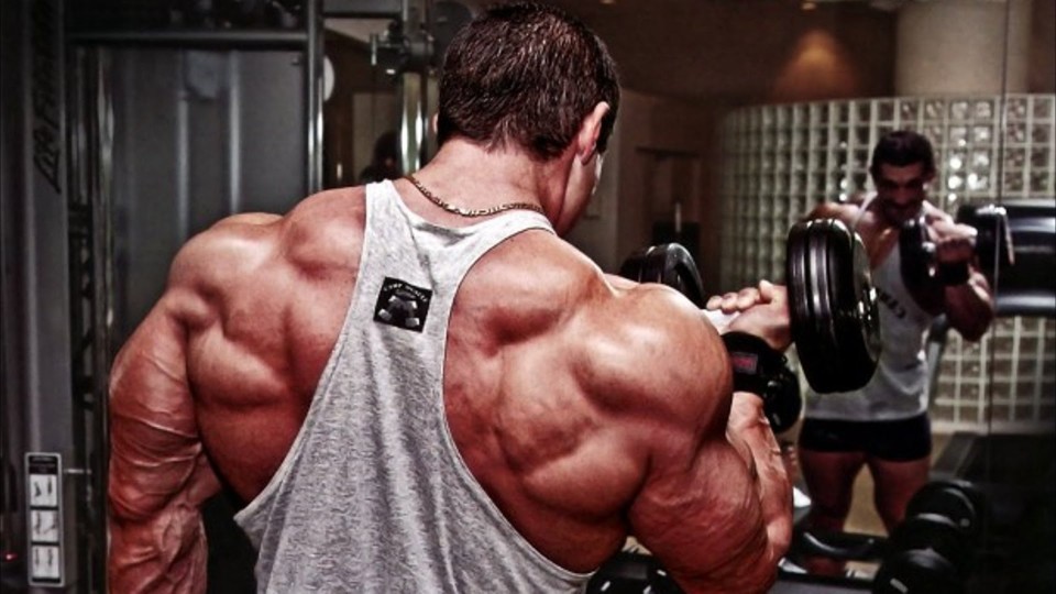 Bodybuilding Motivation – “Make Gains Not Excuses” 2015