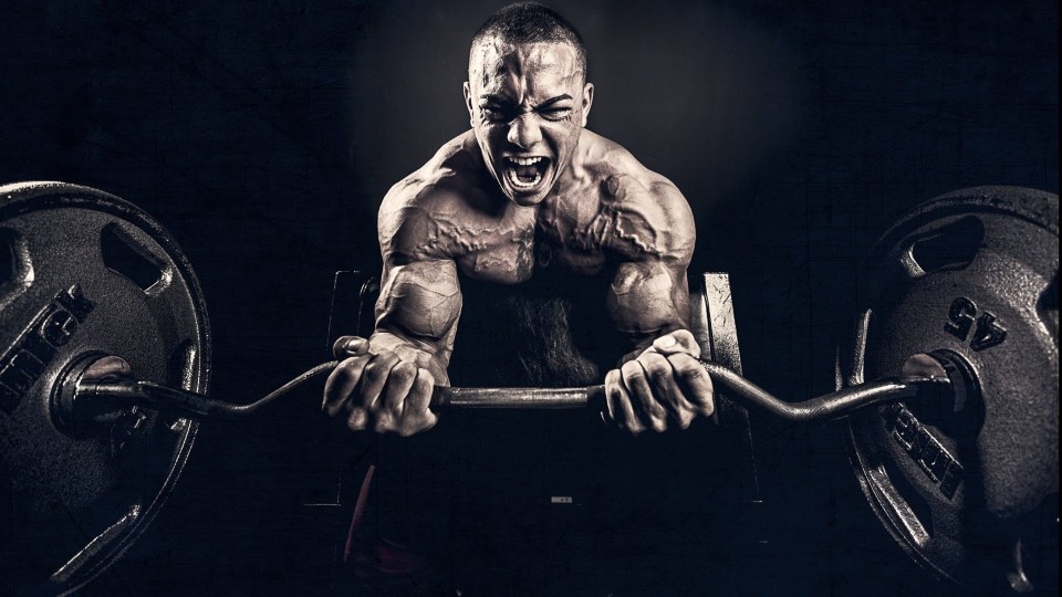 Bodybuilding Motivation – “Shredz Beast”